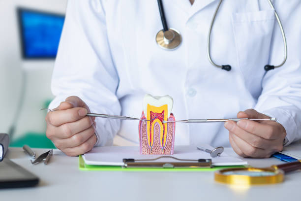 Best Emergency Dental Care for Trauma or Injury in Cimarron Hills, CO